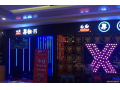 寻蛙记