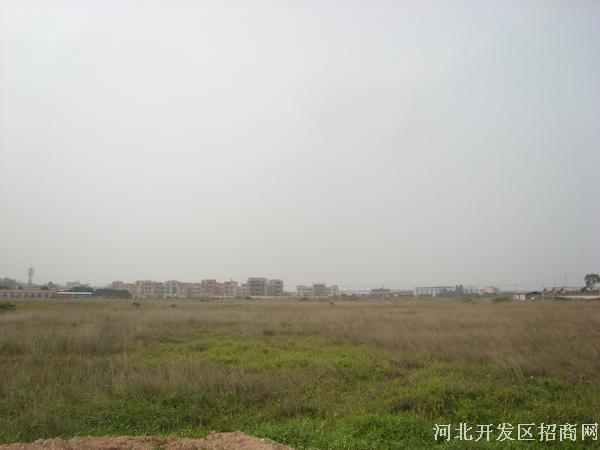 河北省沧州市青县两宗商住用地出让