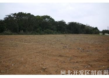 石家庄鹿泉生态 园10000㎡土地出租