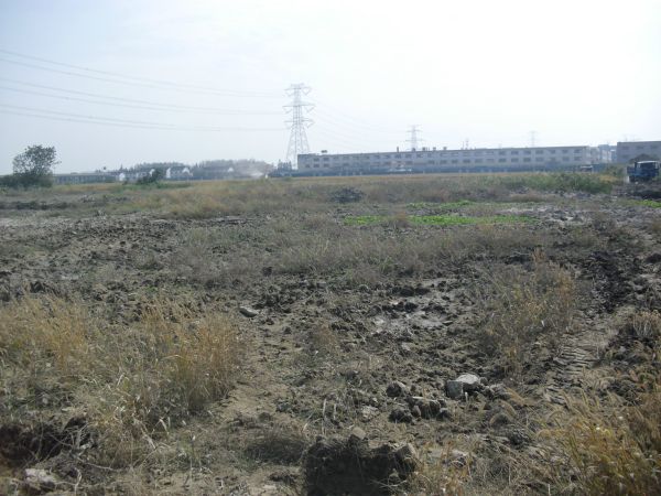 开发区稀缺纯土地70亩出租 可分租35亩