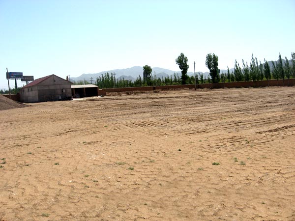 西青区280亩土地对外出租