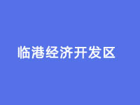 临港经济开发区